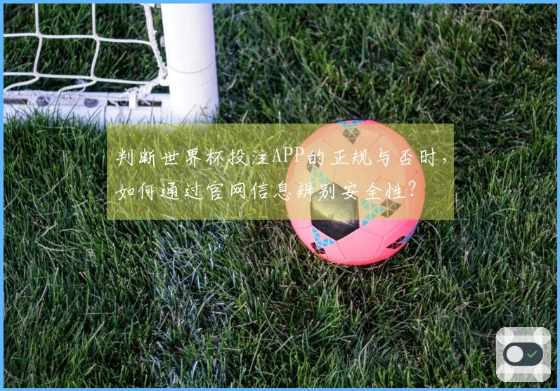 判断世界杯投注APP的正规与否时，如何通过官网信息辨别安全性？