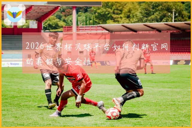 2026世界杯买球平台如何判断官网的真假与安全性