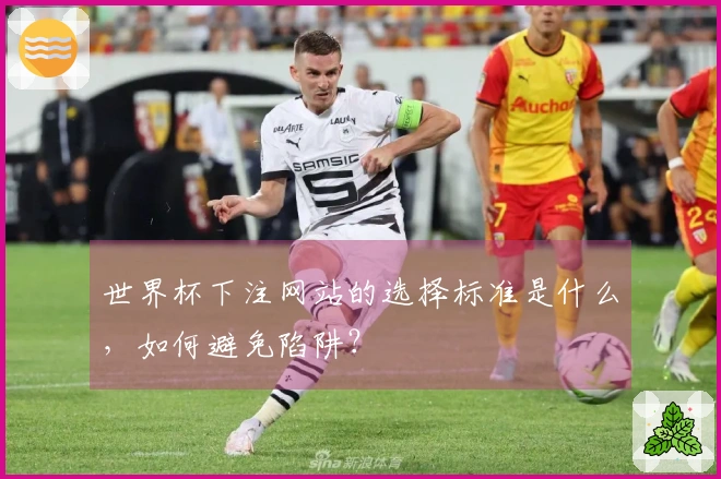 世界杯下注网站的选择标准是什么，如何避免陷阱？