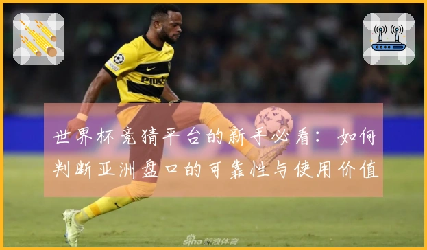 世界杯竞猜平台的新手必看：如何判断亚洲盘口的可靠性与使用价值