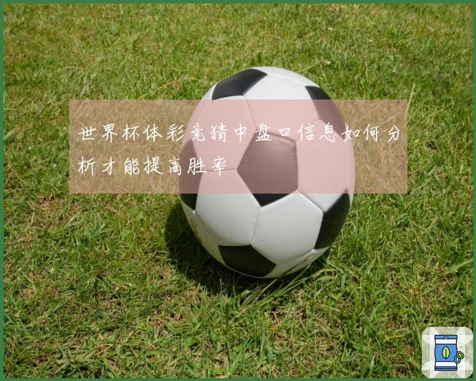 世界杯体彩竞猜中盘口信息如何分析才能提高胜率