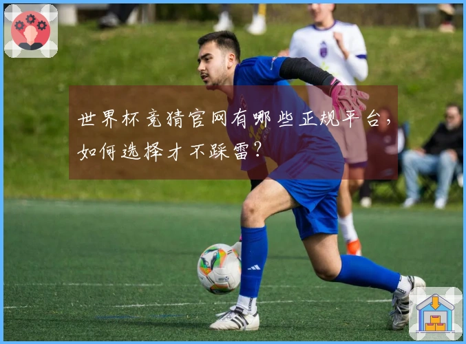 世界杯竞猜官网有哪些正规平台，如何选择才不踩雷？