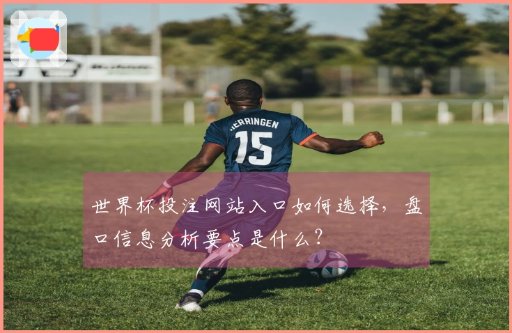 世界杯投注网站入口如何选择，盘口信息分析要点是什么？