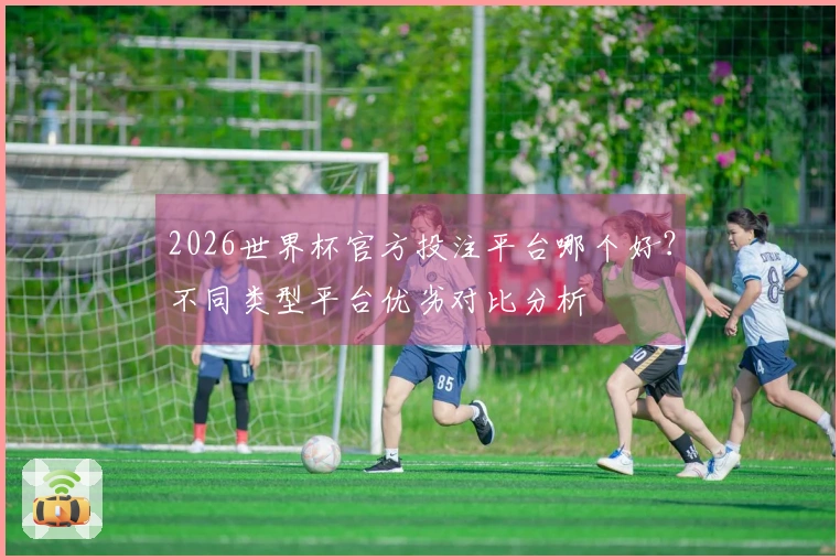 2026世界杯官方投注平台哪个好？不同类型平台优劣对比分析