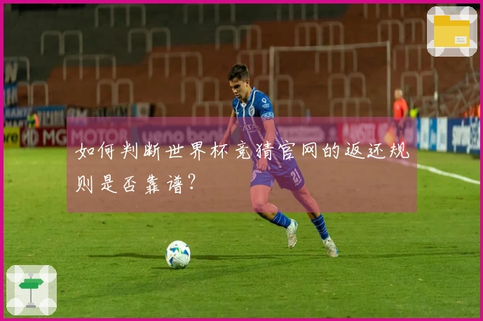 如何判断世界杯竞猜官网的返还规则是否靠谱？